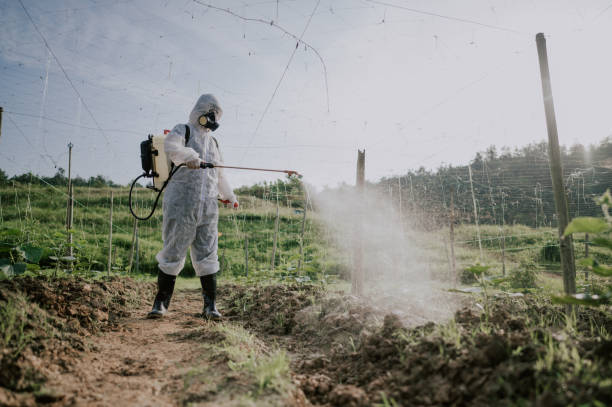 Best Pest Removal Services  in Avon, CO