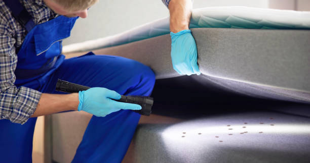 Best Pest Control Near Me in Avon, CO